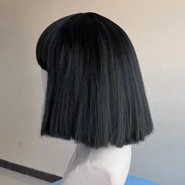 Wigs Lady Gaga Wigs Cosplay Wigs Synthetic Costume Wigs Halloween Wigs short bob black Wigs